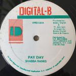 Pay Day(Pay Down Pon It)